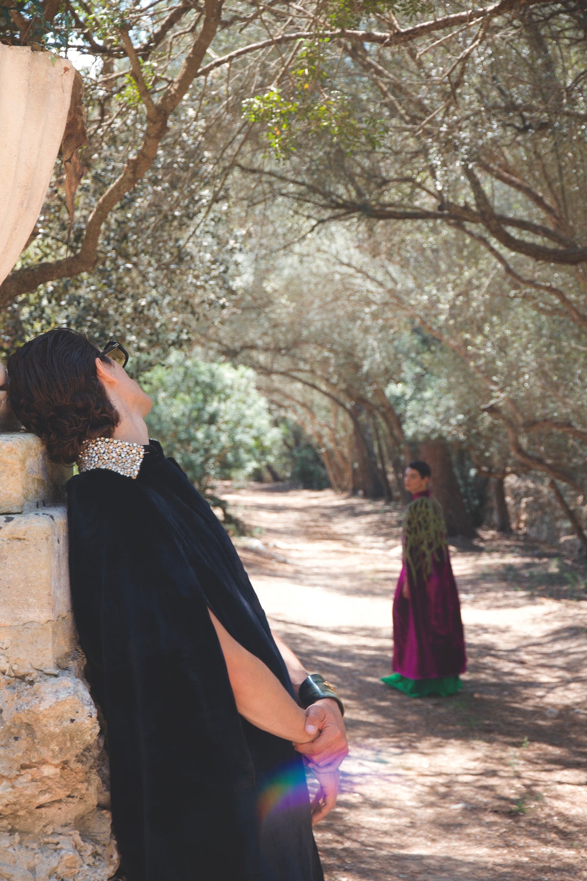 The Golden Collar Cape in black silk velvet with golden sequin collar, back view, olive grove