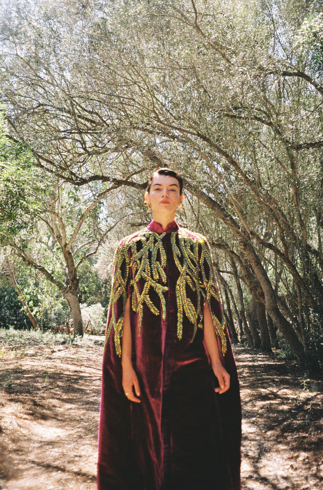 The Royal Garden Cape in magenta silk velvet with gold and green leaf embroidery, front view, olive grove